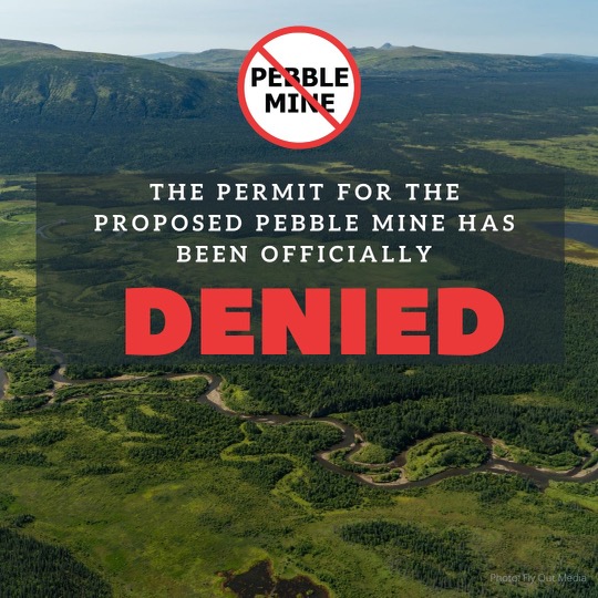 Pebble Mine Denied