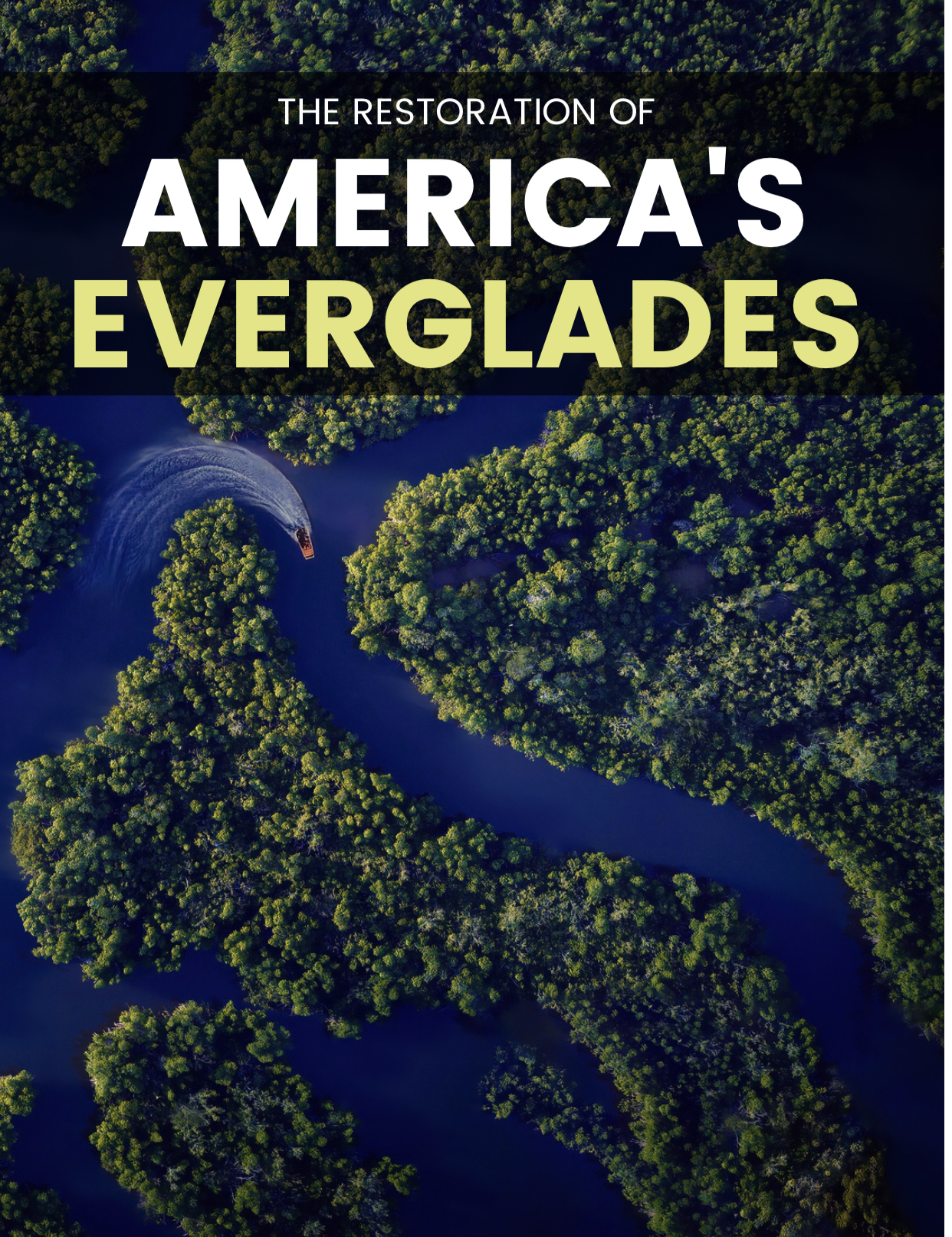 The Restoration of America’s Everglades